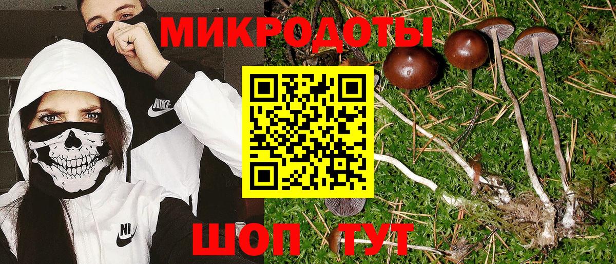 Псилоцибиновые грибы Psilocybine cubensis  Вход с VPN  Павловский Посад 